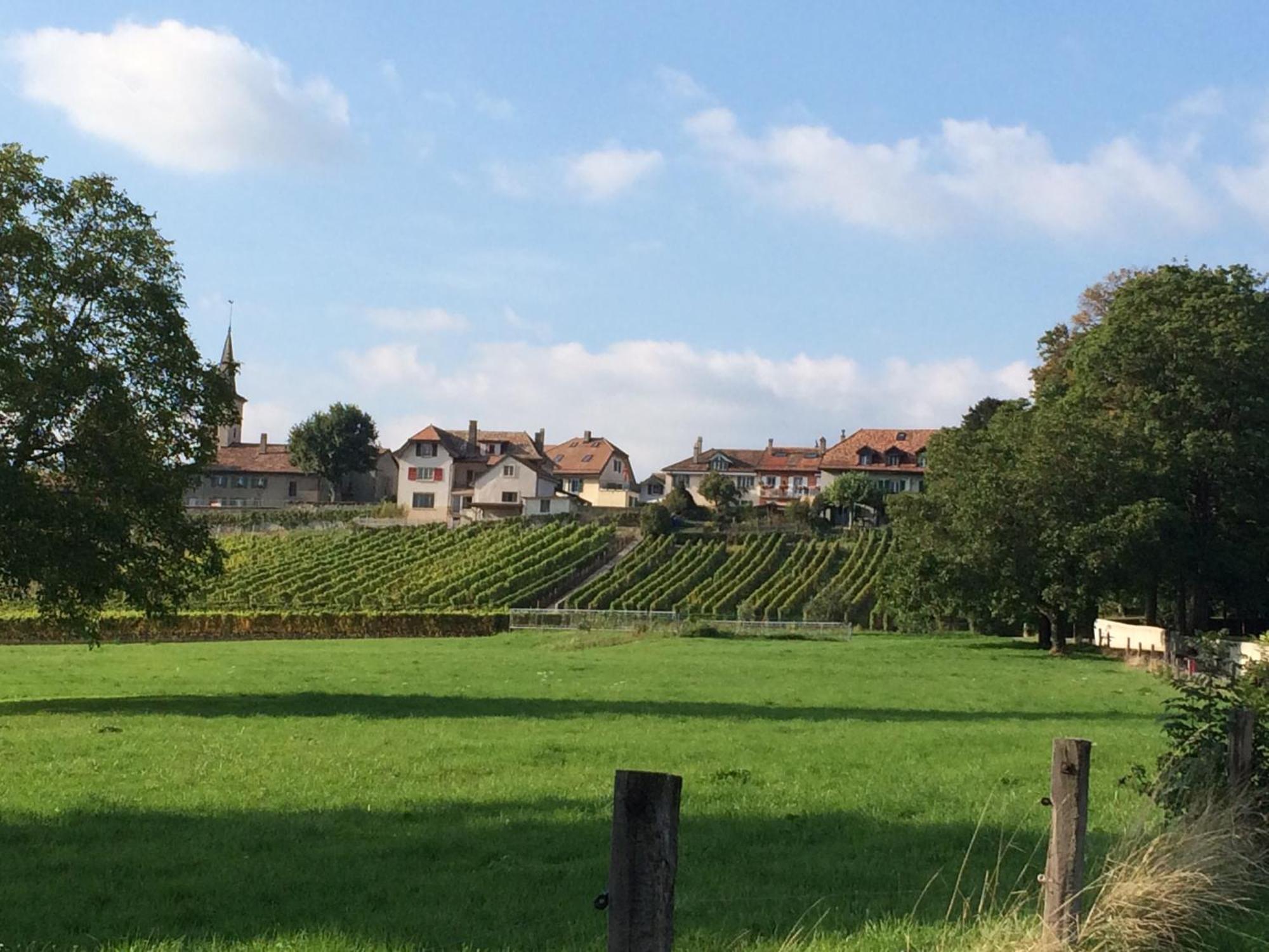 Le Chateau Lavigny Exterior foto