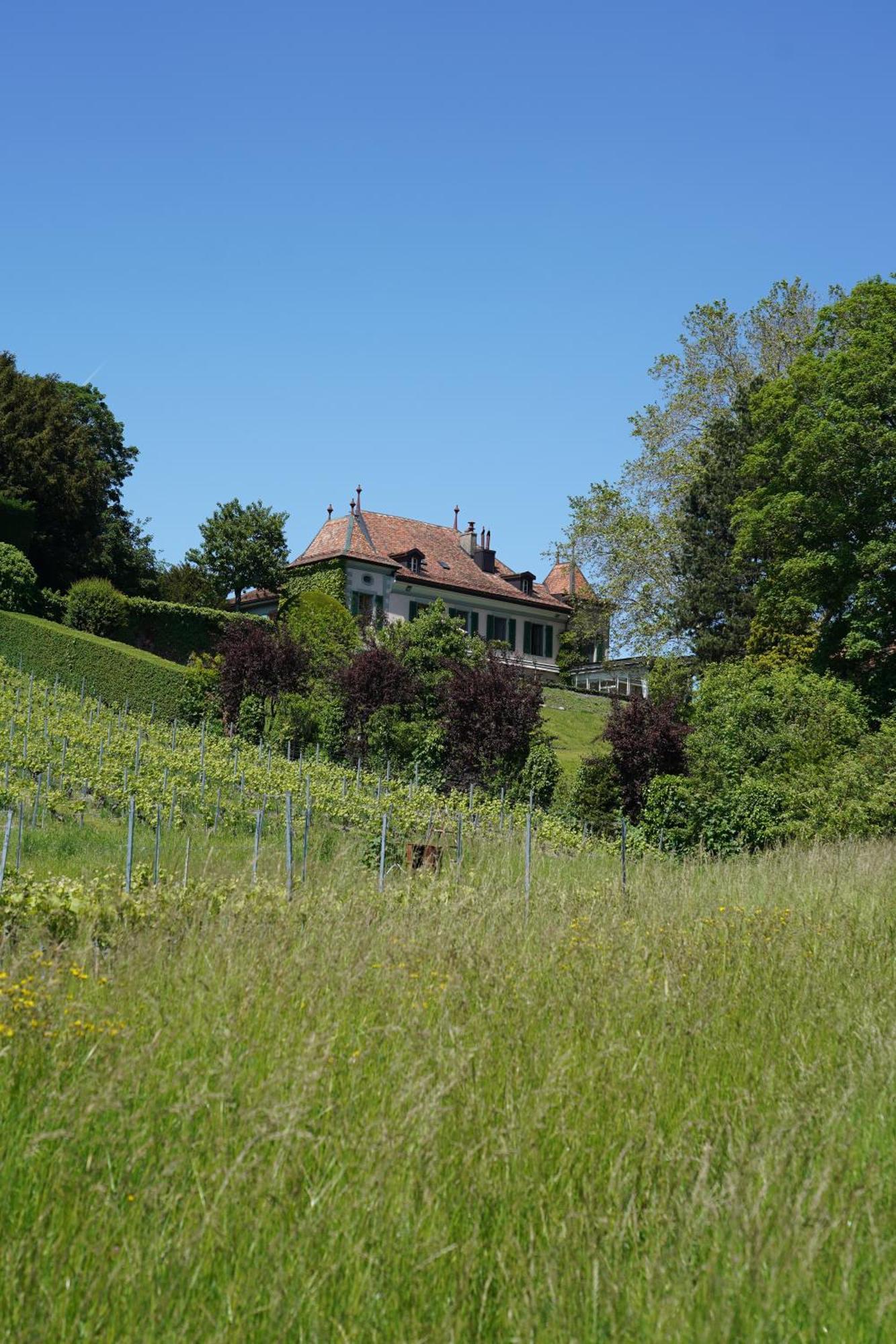 Le Chateau Lavigny Exterior foto